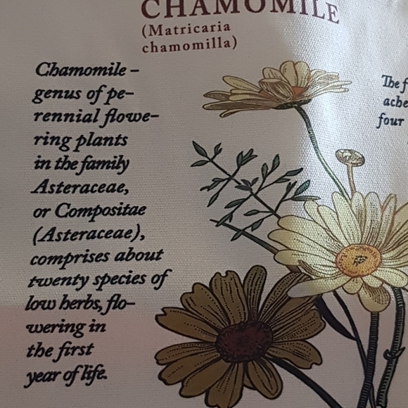 Lovely New Canvas Chamomile Print Bag - Picture 6 of 6